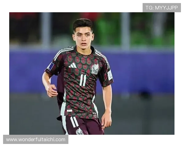 卫报公布2008年足坛六十大新星名单中国小将魏祥鑫与墨西哥天才莫拉入选